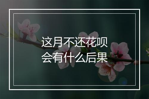 这月不还花呗会有什么后果