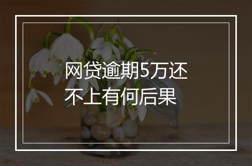 网贷逾期5万还不上有何后果