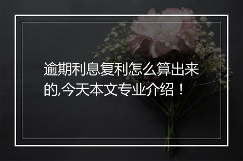 逾期利息复利怎么算出来的,今天本文专业介绍！