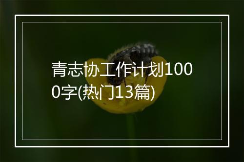 青志协工作计划1000字(热门13篇)