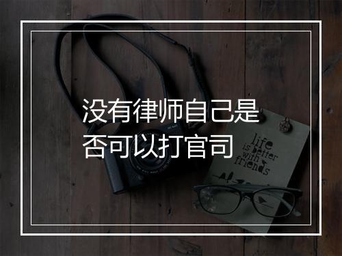 没有律师自己是否可以打官司