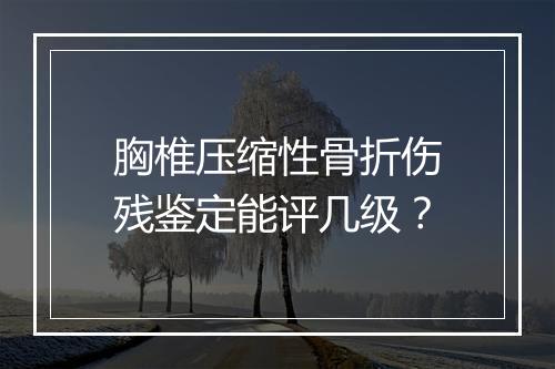 胸椎压缩性骨折伤残鉴定能评几级？