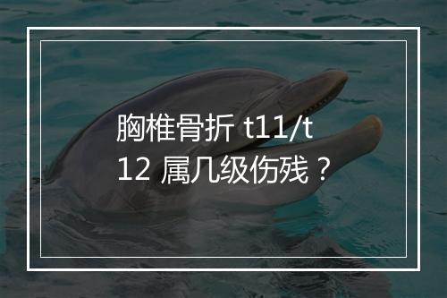 胸椎骨折 t11/t12 属几级伤残？