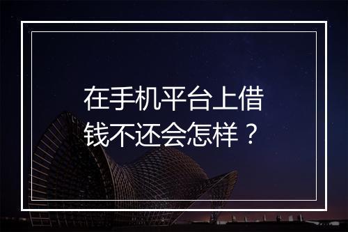 在手机平台上借钱不还会怎样？