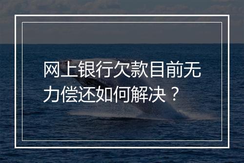 网上银行欠款目前无力偿还如何解决？