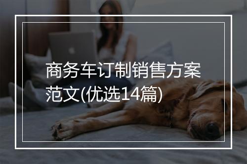 商务车订制销售方案范文(优选14篇)