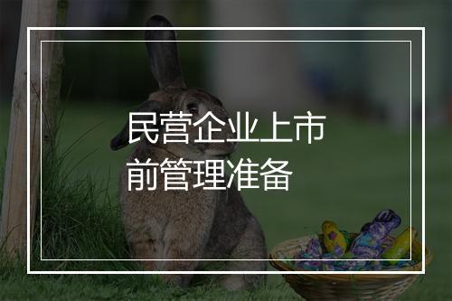 民营企业上市前管理准备