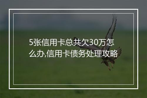5张信用卡总共欠30万怎么办,信用卡债务处理攻略