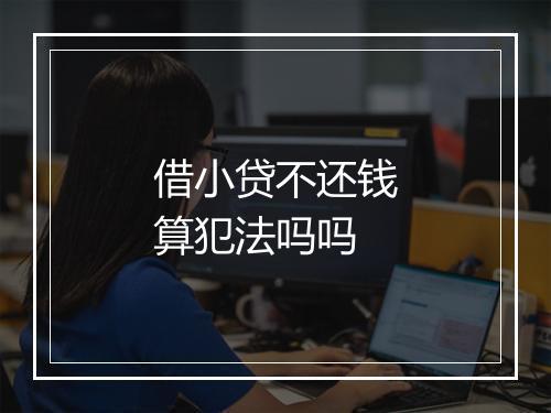 借小贷不还钱算犯法吗吗
