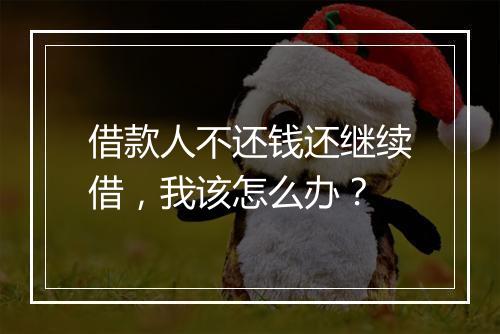 借款人不还钱还继续借，我该怎么办？