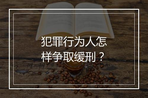 犯罪行为人怎样争取缓刑？
