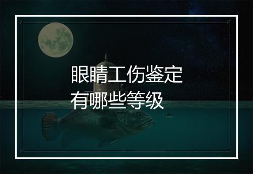 眼睛工伤鉴定有哪些等级