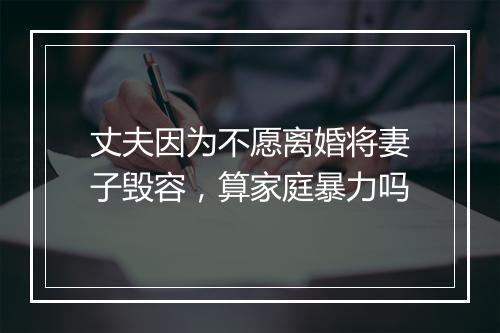 丈夫因为不愿离婚将妻子毁容，算家庭暴力吗