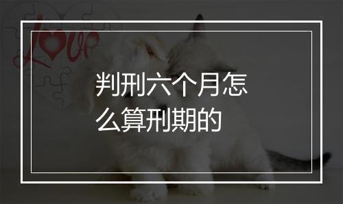 判刑六个月怎么算刑期的