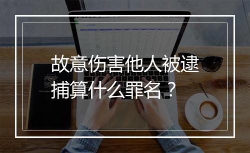 故意伤害他人被逮捕算什么罪名？