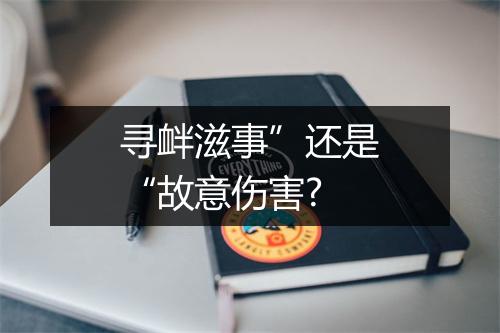 寻衅滋事”还是“故意伤害?