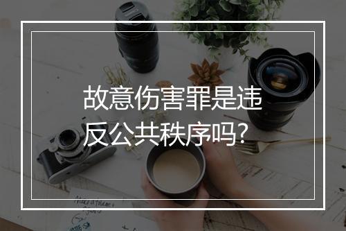 故意伤害罪是违反公共秩序吗?