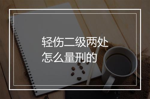 轻伤二级两处怎么量刑的