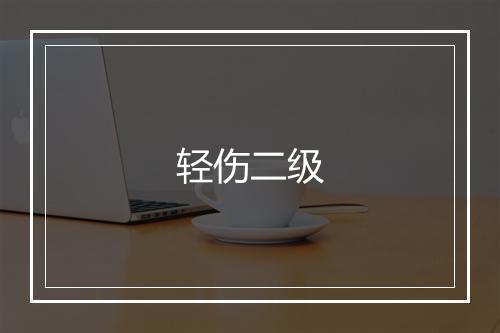 轻伤二级