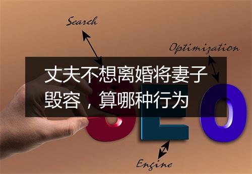 丈夫不想离婚将妻子毁容，算哪种行为
