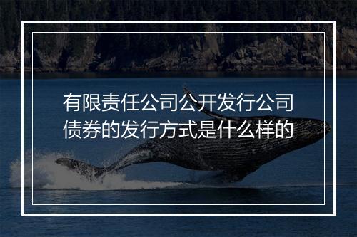 有限责任公司公开发行公司债券的发行方式是什么样的
