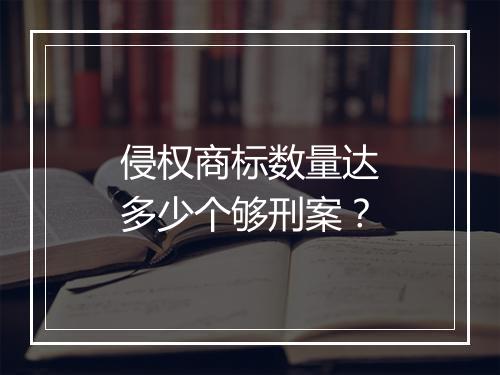 侵权商标数量达多少个够刑案？