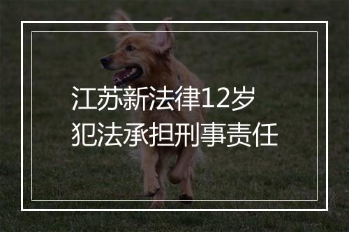 江苏新法律12岁犯法承担刑事责任