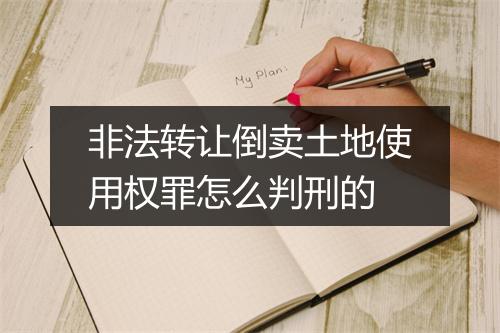 非法转让倒卖土地使用权罪怎么判刑的