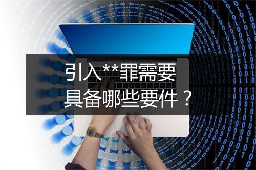 引入**罪需要具备哪些要件？
