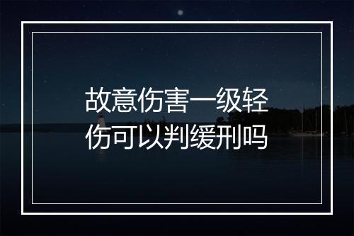 故意伤害一级轻伤可以判缓刑吗