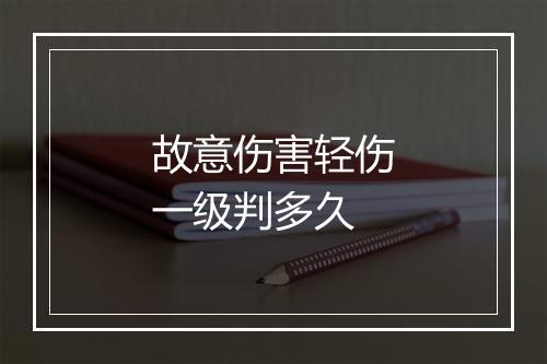 故意伤害轻伤一级判多久
