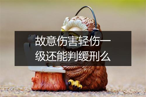 故意伤害轻伤一级还能判缓刑么