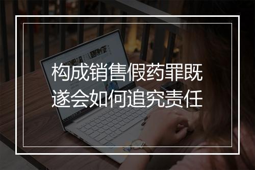 构成销售假药罪既遂会如何追究责任