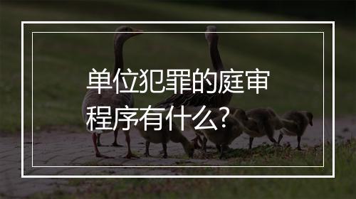 单位犯罪的庭审程序有什么?