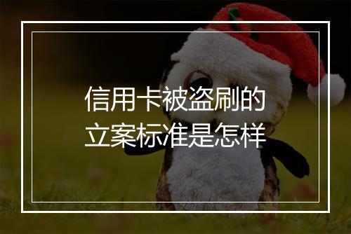 信用卡被盗刷的立案标准是怎样