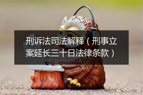 刑诉法司法解释（刑事立案延长三十日法律条款）