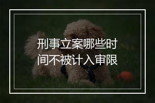 刑事立案哪些时间不被计入审限