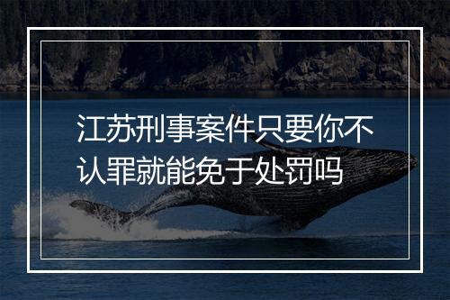 江苏刑事案件只要你不认罪就能免于处罚吗