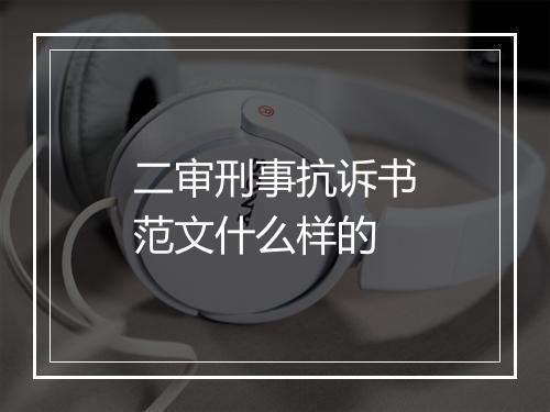 二审刑事抗诉书范文什么样的