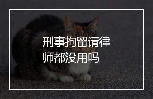 刑事拘留请律师都没用吗