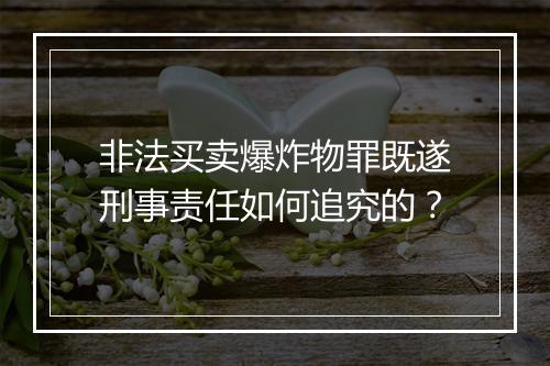非法买卖爆炸物罪既遂刑事责任如何追究的？