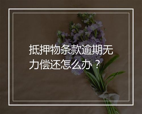 抵押物条款逾期无力偿还怎么办？
