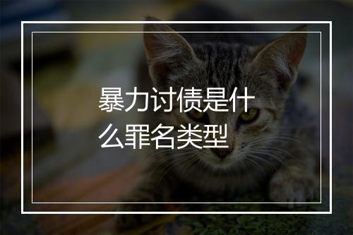 暴力讨债是什么罪名类型
