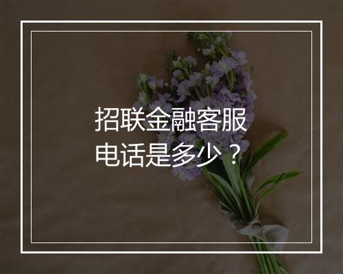 招联金融客服电话是多少？