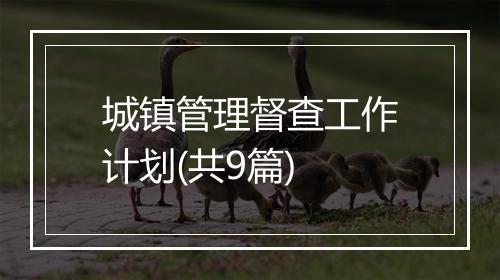 城镇管理督查工作计划(共9篇)