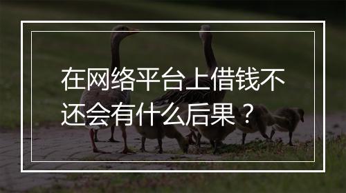 在网络平台上借钱不还会有什么后果？