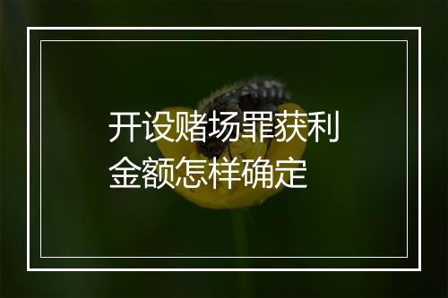 开设赌场罪获利金额怎样确定