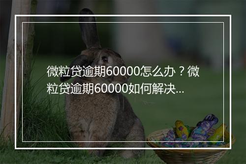 微粒贷逾期60000怎么办？微粒贷逾期60000如何解决？