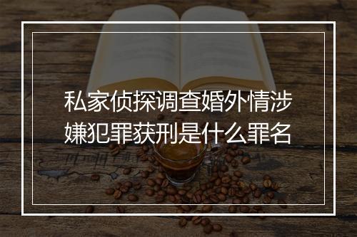 私家侦探调查婚外情涉嫌犯罪获刑是什么罪名