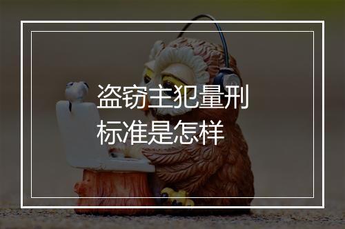 盗窃主犯量刑标准是怎样